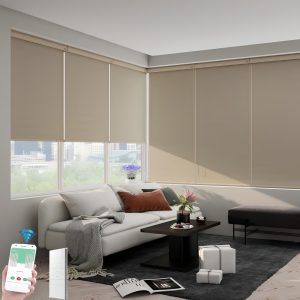 Mẫu Rèm Cửa Tự Động Cho Phòng Khách