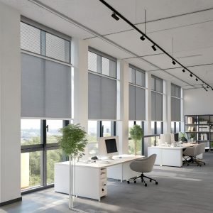 Rèm Lưới Chống Nắng Tối Giản Cho Văn Phòng